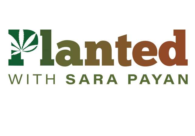 Planted with Sara Payan
